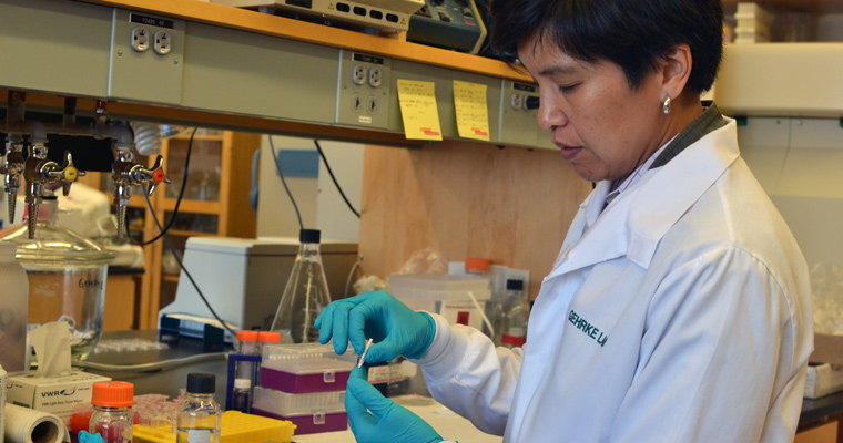 Associate Professor of Engineering Kimberly Hamad-Schifferli shows what a paper-based Zika test looks like.